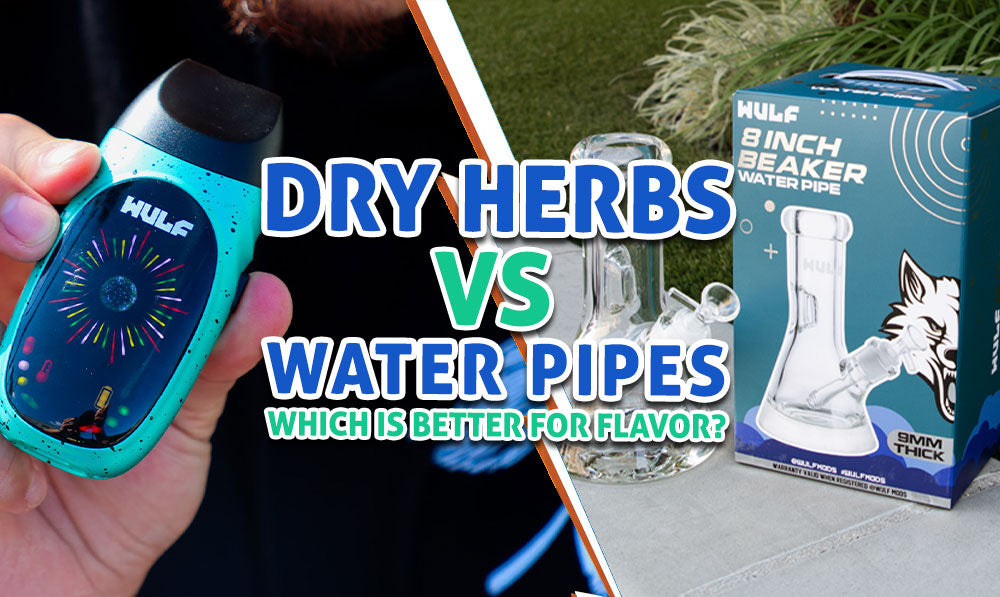 Dry Herbs Vs. Water Pipes banner with text